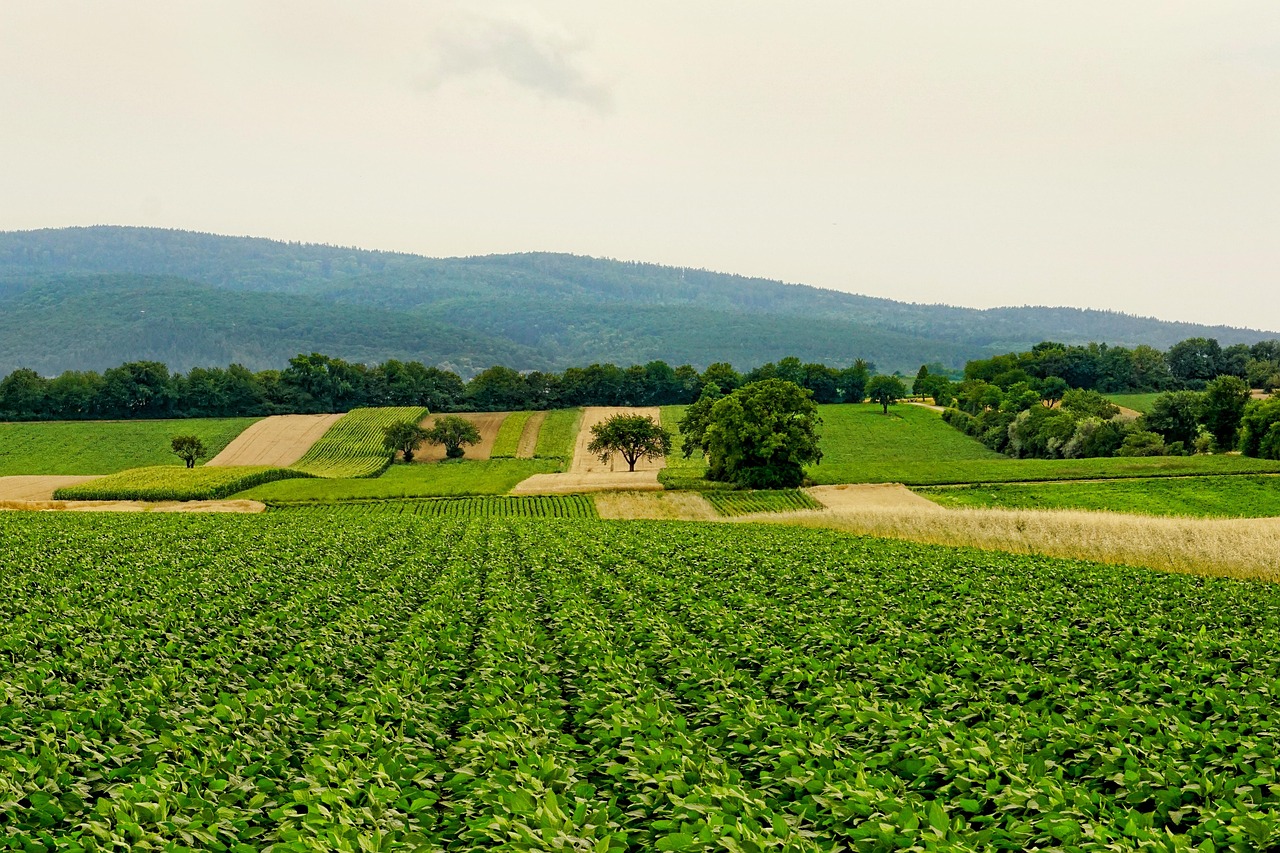 Agriculture Hero Image