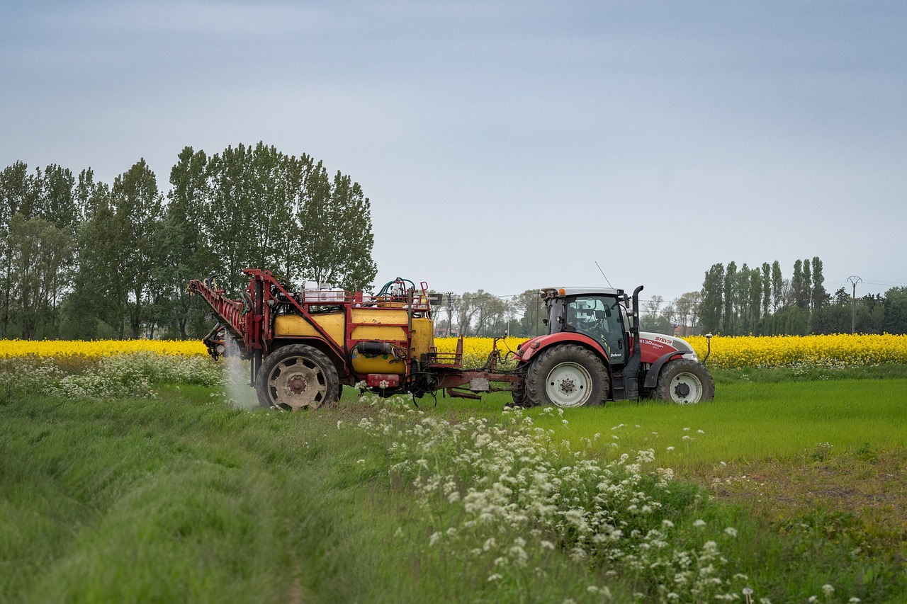 Agriculture Field